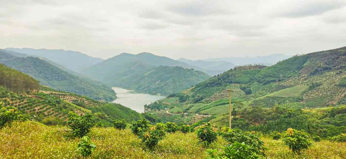 广西LNG外输管道复线项目中标 促进西南能源互联互通(图2)