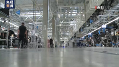 “北溪”管道爆炸事件一周年,俄方坚持主张进行公开透明的调查(图4) “北溪”管道爆炸事件一周年,俄方坚持主张进行公开透明的调查(图4)