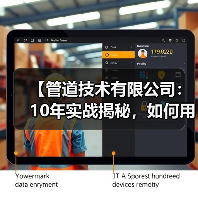 【管道技术有限公司：10年实战揭秘，如何用创新技术颠覆传统行业】（图1）