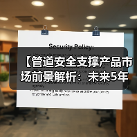 【管道安全支撑产品市场前景解析:未来5年投资热点与机遇】(图2) 【管道安全支撑产品市场前景解析:未来5年投资热点与机遇】(图2)