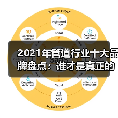 2021年管道行业十大品牌盘点:谁才是真正的品质王者(图2) 2021年管道行业十大品牌盘点:谁才是真正的品质王者(图2)